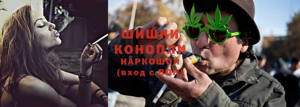 прущие грибы Каменск-Шахтинский