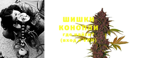 прущие грибы Каменск-Шахтинский