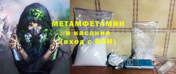 прущие грибы Каменск-Шахтинский