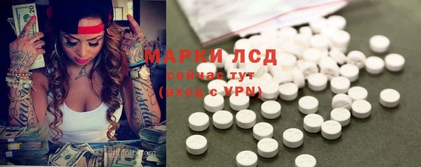прущие грибы Каменск-Шахтинский