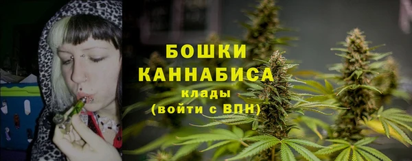 прущие грибы Каменск-Шахтинский