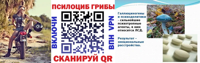 Галлюциногенные грибы мицелий  Купить  Донецк 